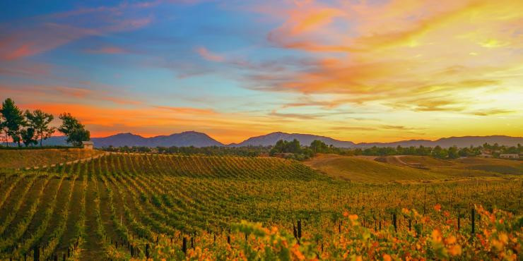 Photo Credits: visittemeculavalley.com